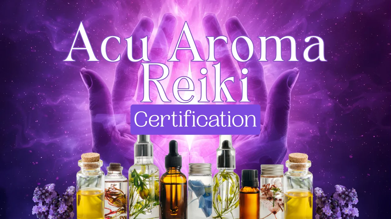 Acu Aroma Reiki Certification Workshop Ferndale Michigan