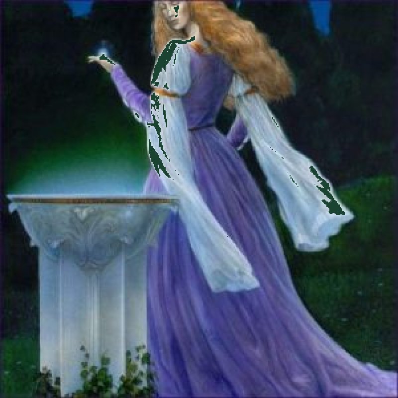 Angels Reiki Healing – Divine Energy for Animal Communication & Wellness