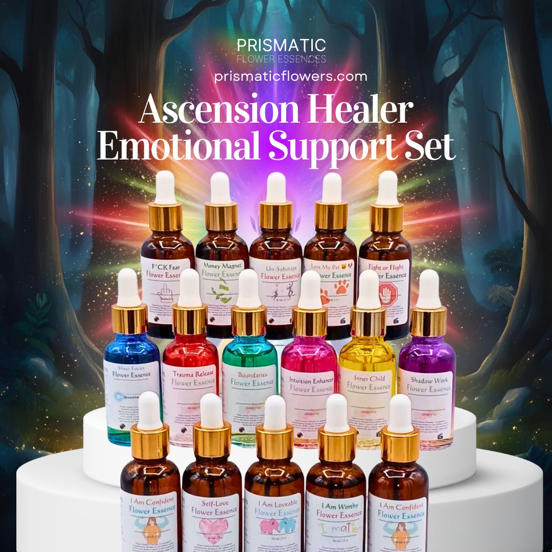 Ascension Healer Emotional Support Set