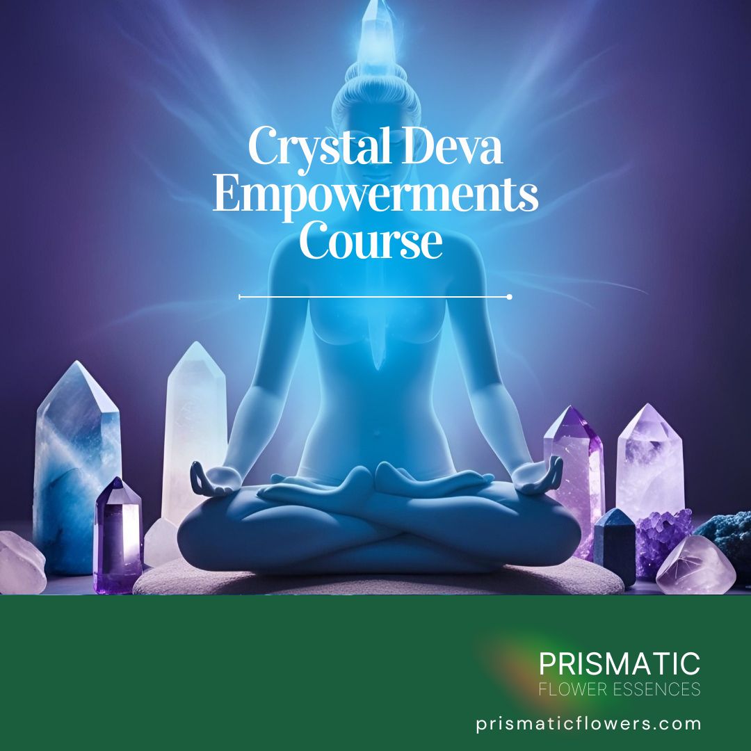 Crystal Deva Empowerments Course
