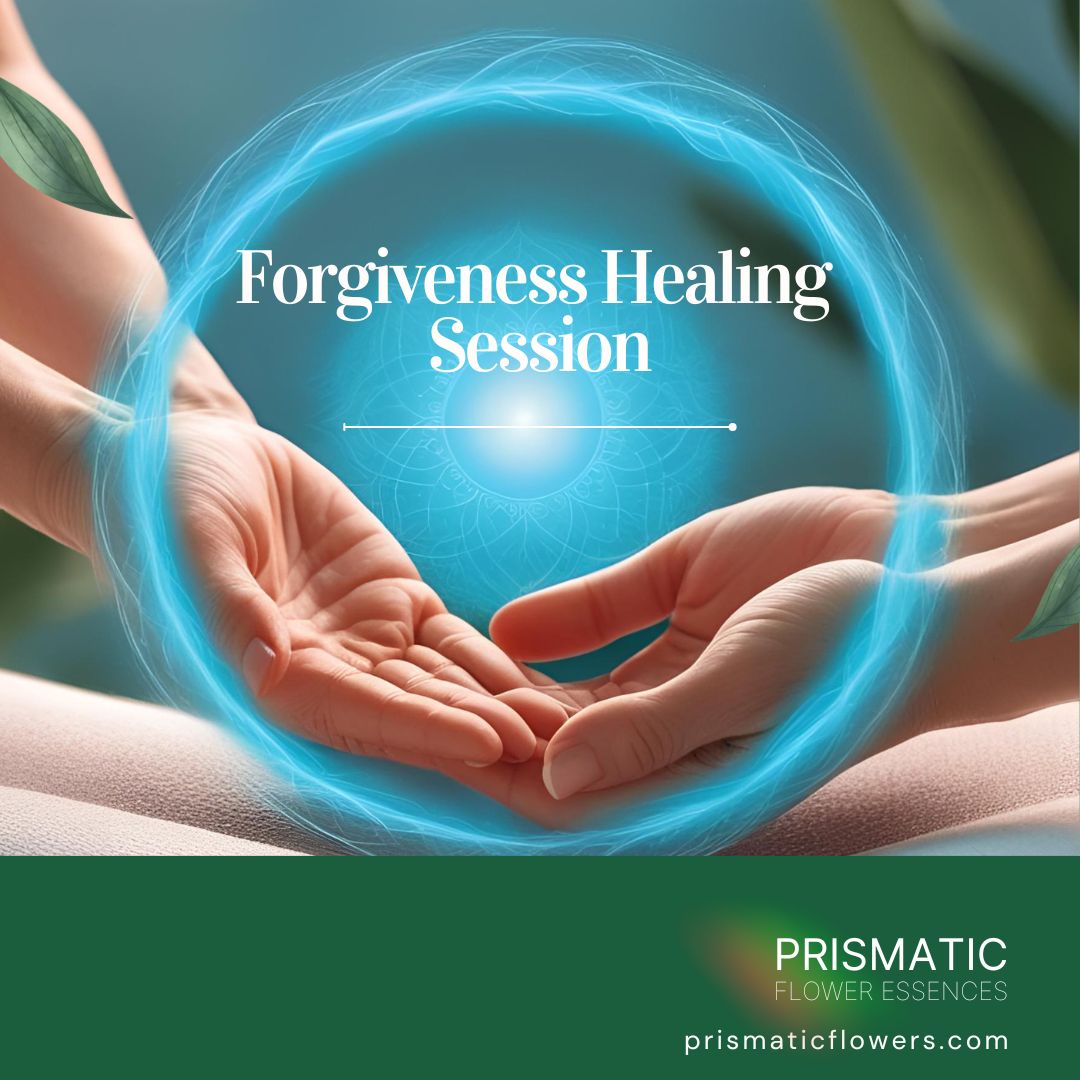 Forgiveness Healing Session