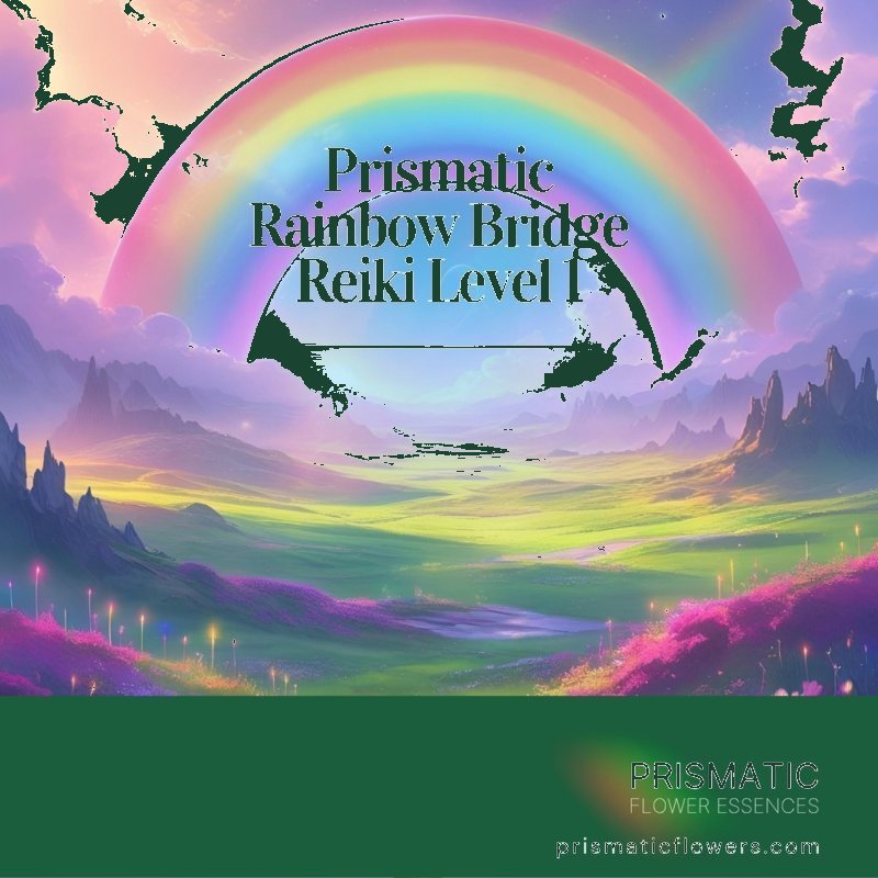 Full Body Reiki Healing – Full Spectrum Reiki for Complete Energy Balance