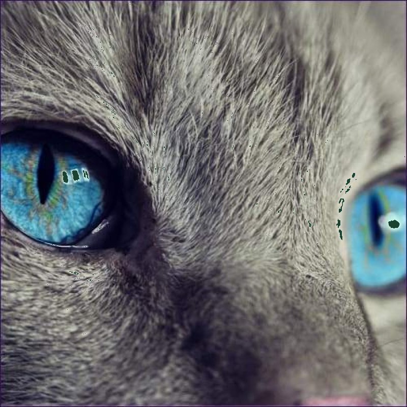 Kali Ma New Moon Empowerment