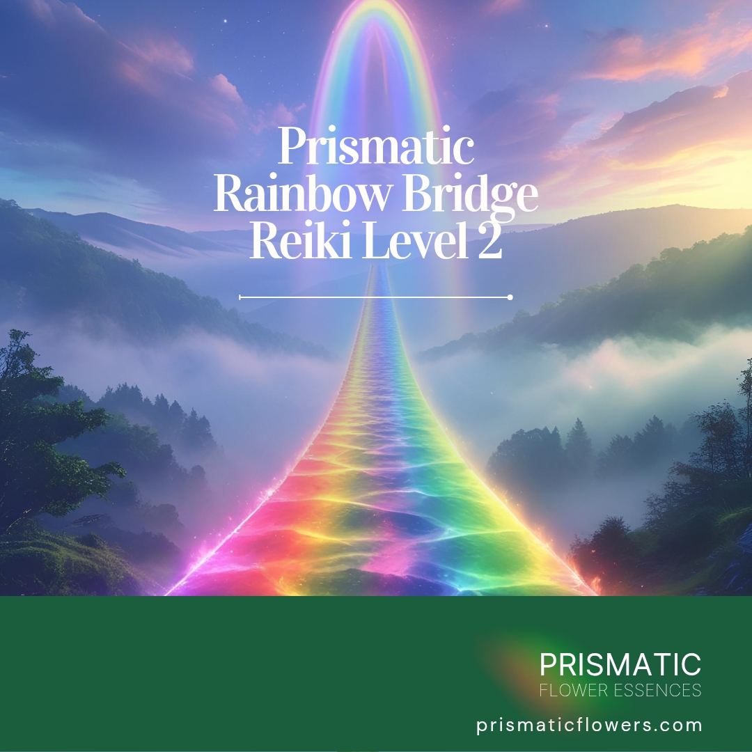 Prismatic Rainbow Bridge Reiki Level 2
