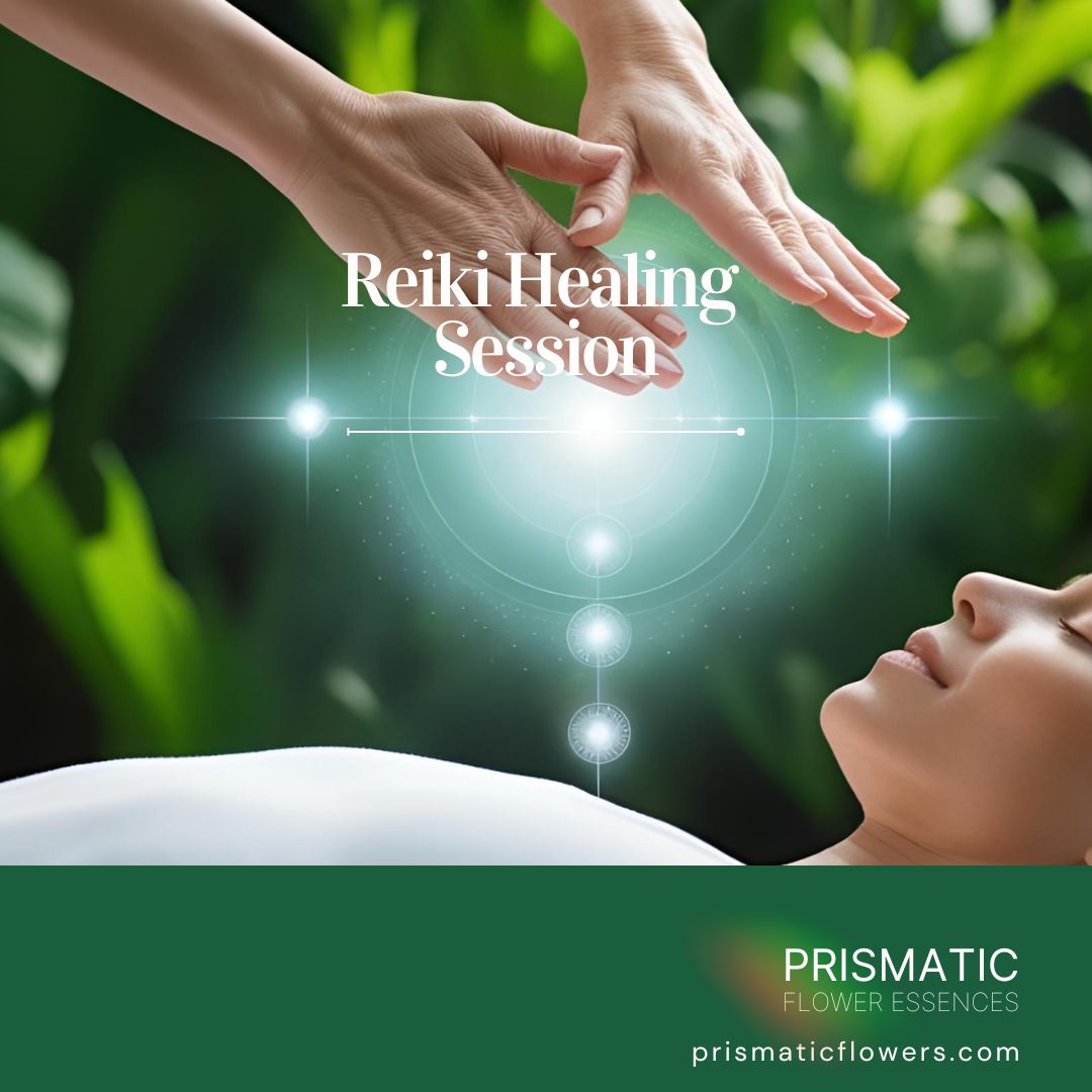 Reiki Healing Session