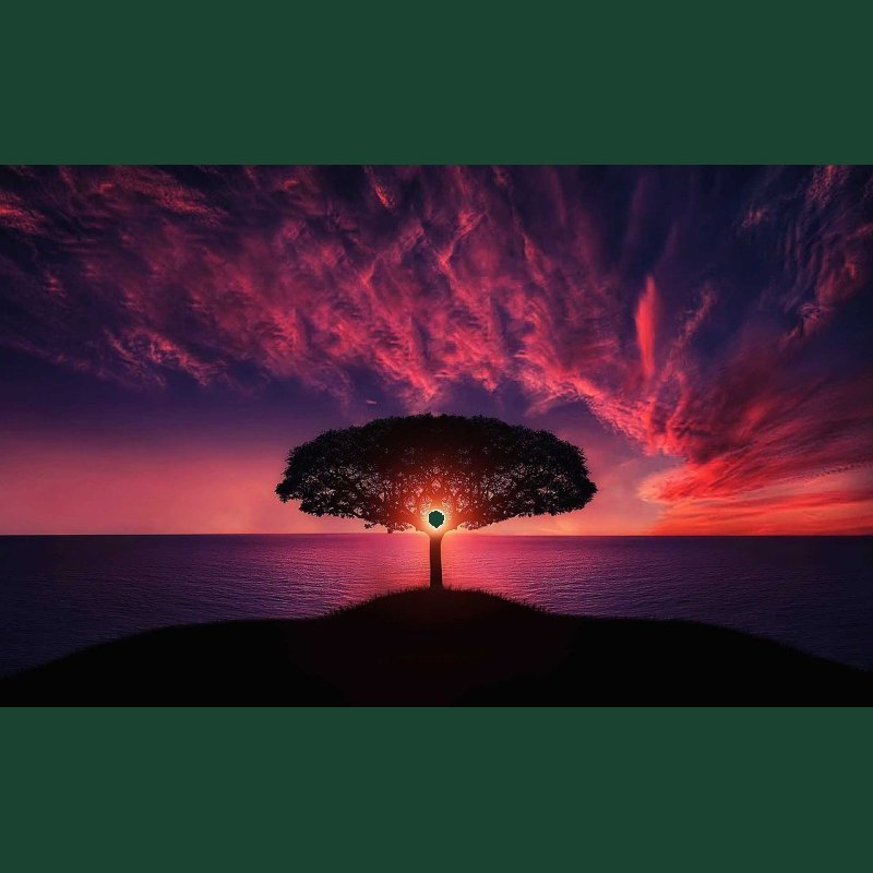 Rising Vibrations Reiki