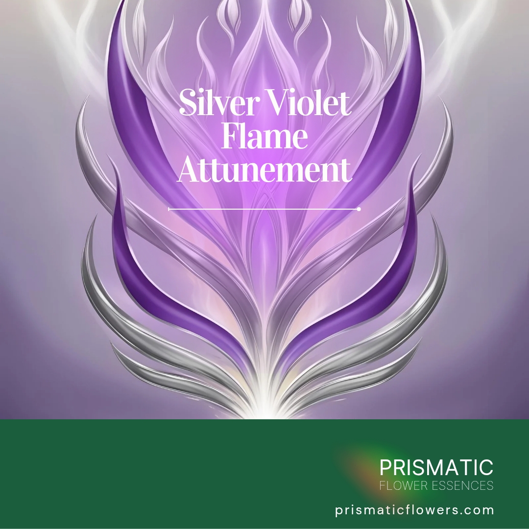 Silver Violet Flame Attunement