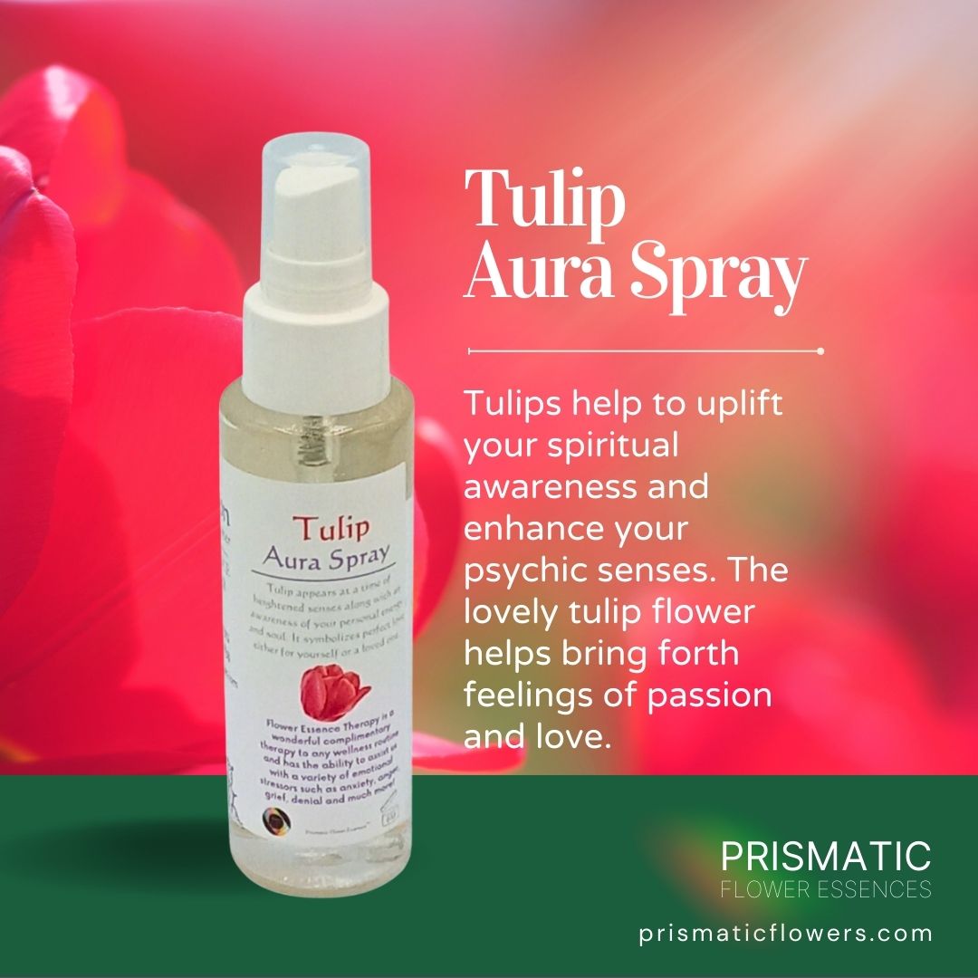 Tulip Aura Spray (4 oz.)