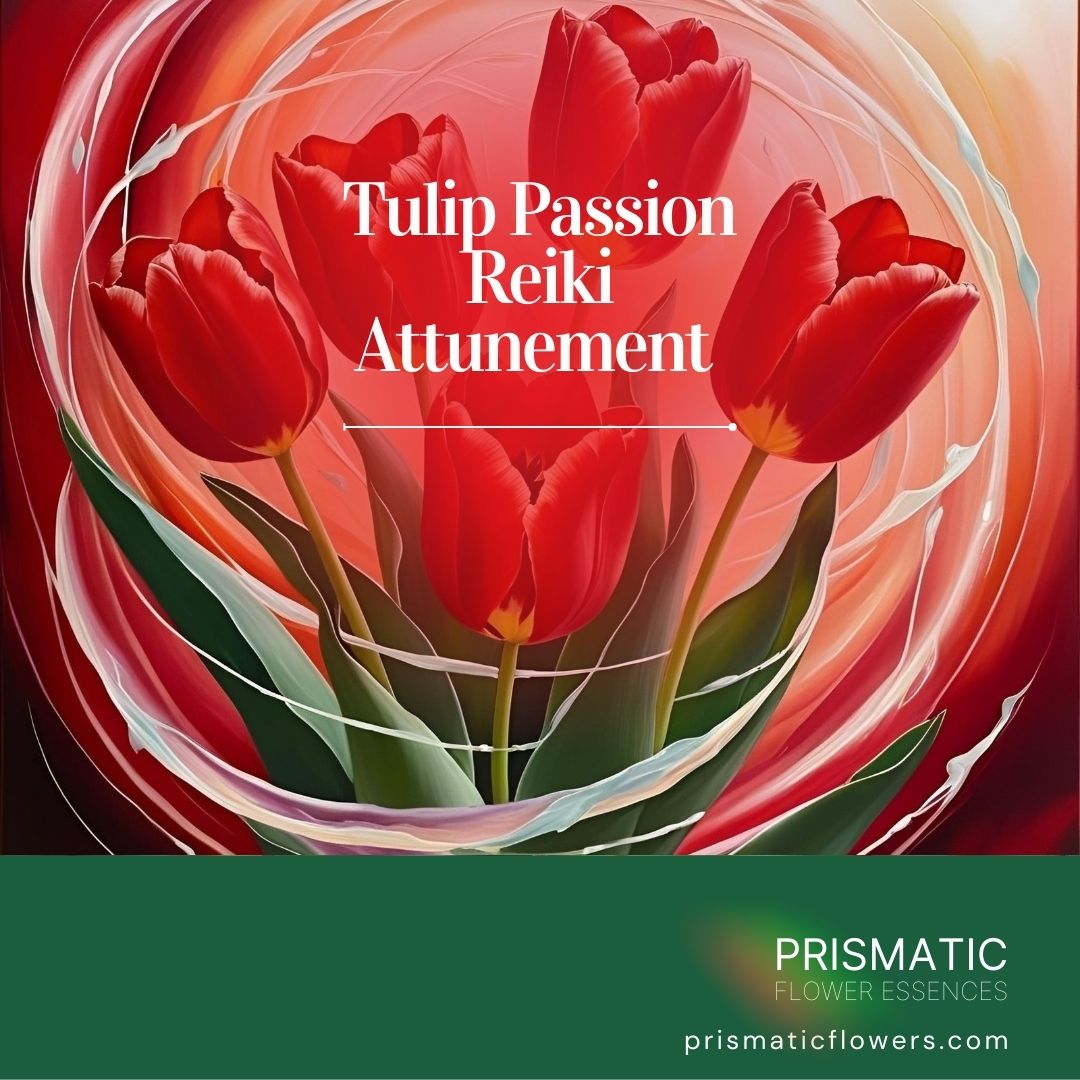 Tulip Passion Reiki Attunement